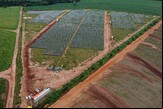 TIM utiliza usinas arrendadas para produzir energia limpa