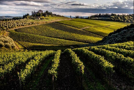 Vinícolas de Chianti estão entre as mais famosas da Itália