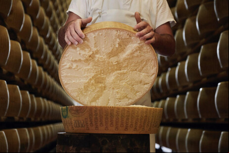 Parmigiano Reggiano é um ícone do Made in Italy